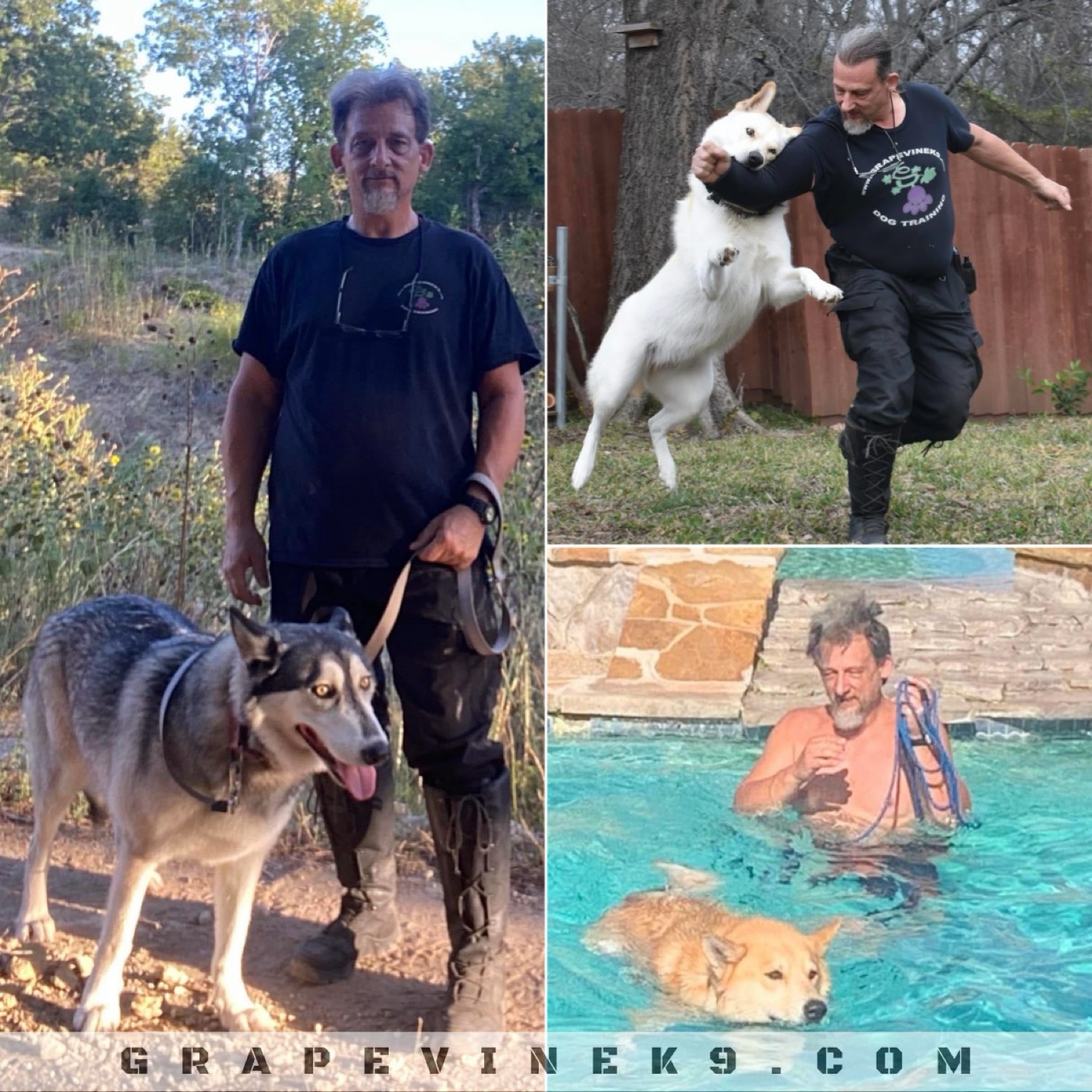 Tim Frazier of Grapevine K9 with client dogs — on the trail, in a backyard training session, and in the pool